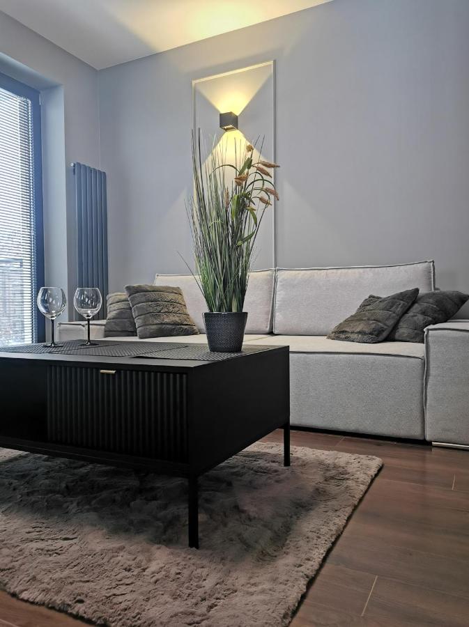 Raciborska 1 Apartment